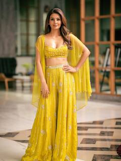 हरभजन सिंह की वाइफ गीता बसरा के आगे टॉप एक्ट्रेस भी फेल, खुद की है इतनी बड़ी कंपनी