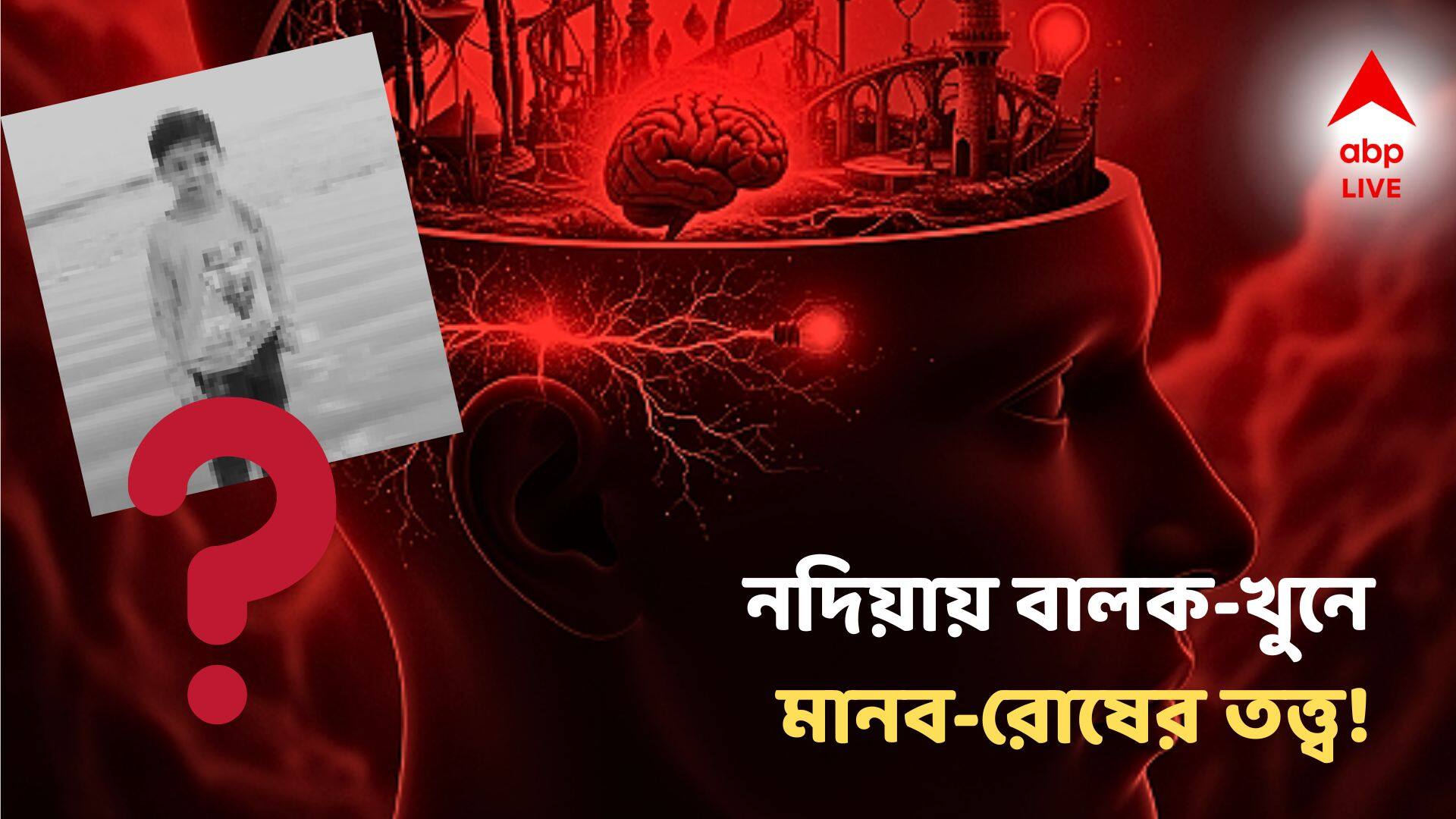Nadia Boy Murdered Psychology: 'যেটা চাইছে, না পেলেই অসহিষ্ণুতা', নদিয়ায় বালক-খুনে উঠে আসছে মানব-রোষের তত্ত্ব! 'আগামী ভয়ঙ্কর', মানছেন মনোবিদরা