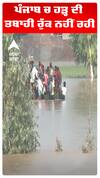 ਪੰਜਾਬ ਚ ਹੜ੍ਹ ਦੀ ਤਬਾਹੀ ਰੁੱਕ ਨਹੀਂ ਰਹੀ