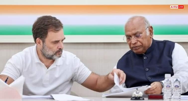 Goa Congress Open To Alliance With Like-Minded Parties Ahead Of Zilla Panchayat Polls