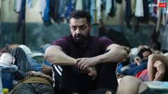 टोरंटो फिल्म फेस्टिवल में दिखा बॉबी देओल और सान्या मल्होत्रा की फिल्म ‘बंदर’ का जलवा