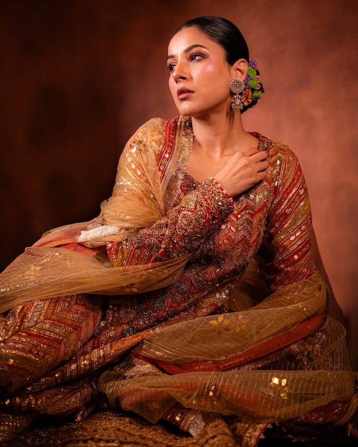 In this traditional outfit, Shahnaz's royal and elegant avatar is seen. Floral Juda and heavy ethnic dress has made her desi look even more special. In this style, she is seen spreading royal beauty.