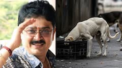நாய் வளர்ப்பதில் என்ன தவறு?..  பிரபலங்கள் ஆதரவு.. நடிகர் எஸ்.வி.சேகர் சொல்லும் கருத்து என்ன?