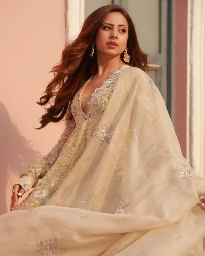 2025 में सरगुन वे सरबाला जी और सौकन सौकने 2 जैसी इंडस्ट्री की सबसे बड़ी हिट फिल्में दीं, जिससे वह रीजनल सिनेमा की सबसे बैंकएबल स्टार्स में शुमार हो गईं.