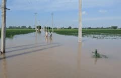 ਪੰਜਾਬ ਵਿੱਚ ਹੜ੍ਹਾਂ ਦੀ ਮਾਰ ਹੇਠ ਆਏ ਕਿਸਾਨਾਂ ਦਾ ਕਰਜ਼ਾ ਕੀਤਾ ਜਾਵੇ ਮੁਆਫ਼ , ਸੋਨੂੰ ਸੂਦ ਨੇ ਕੀਤੀ ਸਰਕਾਰ ਨੂੰ ਅਪੀਲ