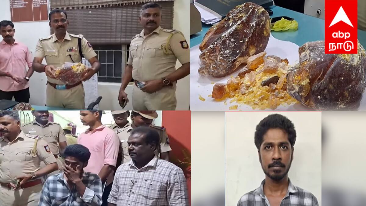 கடலூரில் அதிர்ச்சி! ரூ.7.5 கோடி மதிப்பிலான திமிங்கல எச்சம் பறிமுதல்: காத்திருக்கும் மர்மம்