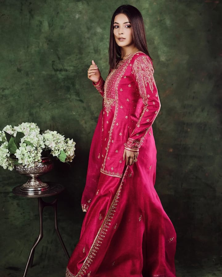 In this picture, Shahnaz is seen in an embroidered suit of pink color. She completed the look with matching scarf minimal makeup and straight hair.
