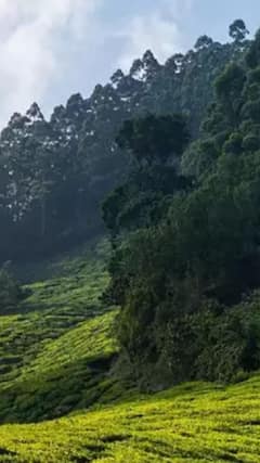 सफर के शौकीनों के लिए महाराष्ट्र के 10 शानदार पहाड़ी ठिकाने