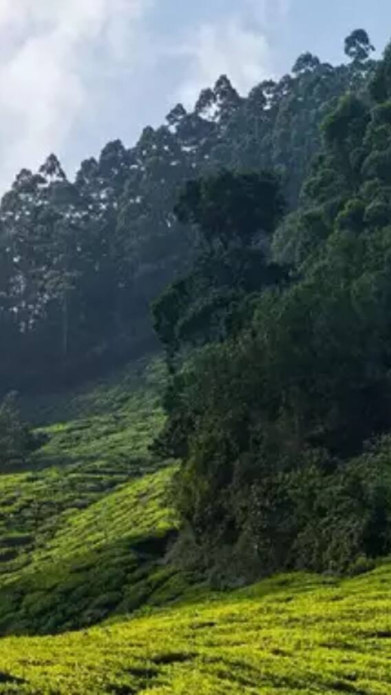 सफर के शौकीनों के लिए महाराष्ट्र के 10 शानदार पहाड़ी ठिकाने