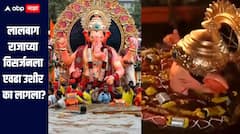 लालबागच्या राजाचे तब्बल 33 तासानंतर विसर्जन, विसर्जनला एवढा उशीर का झाला? काय आहेत कारणं? 