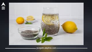 Chia Seeds: ਚੀਆ ਸੀਡਜ਼ ਖਾਂਦੇ ਸਮੇਂ ਨਾ ਕਰੋ ਇਹ 5 ਗਲਤੀਆਂ, ਨਹੀਂ ਤਾਂ ਸਿਹਤ ਹੋ ਸਕਦੀ ਖਰਾਬ