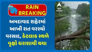 Ahmedabad Rain: અમદાવાદ શહેરમાં આખી રાત વરસ્યો વરસાદ, કેટલાક સ્થળે વૃક્ષો ધરાશાયી થયા