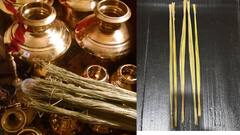 గ్రహణ కాలంలో దర్భలు ఎందుకు వినియోగిస్తారు? స్త్రీ , పురుష, నపుంసక దర్భల గురించి తెలుసా? 