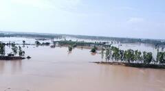 Punjab Floods: ਹਰਿਆਣਾ 'ਚ ਸ਼ਾਮਲ ਹੋਣਾ ਚਾਹੁੰਦੇ ਨੇ ਪੰਜਾਬ ਦੇ ਆਹ 4 ਪਿੰਡ, ਕਿਹਾ- ਗੁਆਂਢ 'ਚ ਹੜ੍ਹਾਂ ਨੂੰ ਰੋਕਣ ਲਈ ਕੀਤੇ ਨੇ ਵਧੀਆ ਪ੍ਰਬੰਧ