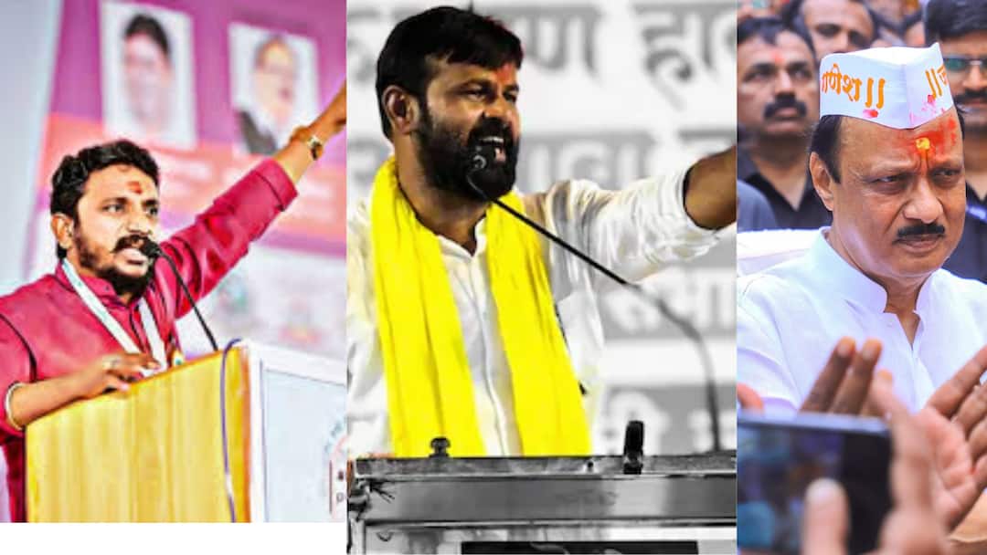 OBC leader Laxman Hake slams Ajit Pawar and Amol Mitkari over Maratha Reservation Laxman Hake: अजित पवार तुम्ही पोल्ट्रीवरचे कामगार शोभता, यशवंतराव चव्हाण, डॉ. आंबेडकरांचं नाव घेण्याची तुमची लायकी नाही: लक्ष्मण हाके