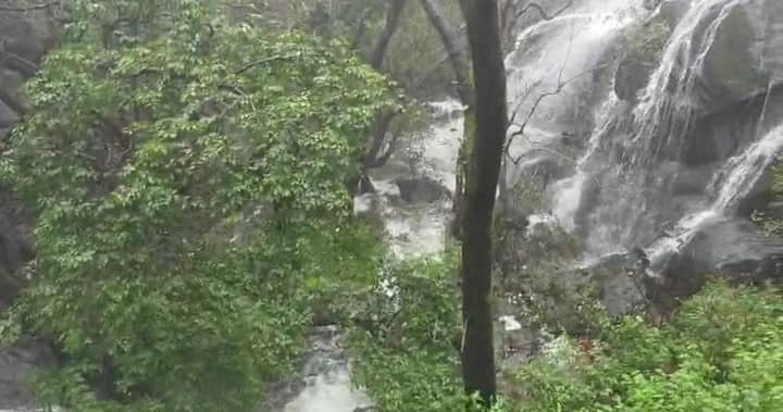 मौसम विभाग ने सिरोही जिले समेत माउंट आबू क्षेत्र में अगले 24 घंटे भारी बारिश की संभावना जताई है. इस दौरान प्रशासन ने लोगों को सावधानी बरतने की अपील की है.