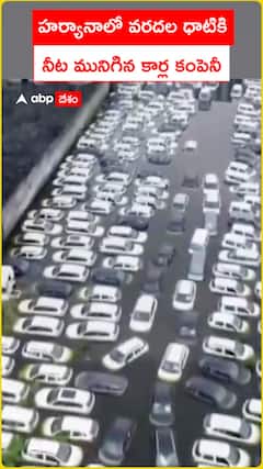 హర్యానాలో వరదల ధాటికి నీట మునిగిన కార్ల కంపెనీ