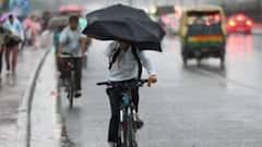 विसर्जनाच्या धामधुमीत मुंबईत मुसळधार पाऊस सुरु, आज हवामान विभागाचा हायअलर्ट, कुठे काय स्थिती?