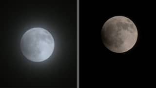 Lunar Eclipse Begins, 'Blood Moon' To Be Visible Tonight — VIDEOS