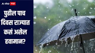 पाऊस की उघडीप! पुढील पाच दिवस राज्यात कसं असेल हवामान? जाणून घ्या हवामानाचा अंदाज 