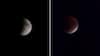 India Gazes At Rare ‘Blood Moon’ As Longest Total Lunar Eclipse Since 2022 Dazzles Skywatchers — VIDEOS