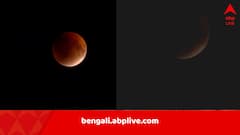 কলকাতার আকাশে Blood Moon, পৃথিবীর ছায়ার পূর্ণগ্রাস, গ্রহণ লাগল পূর্ণিমার চাঁদে