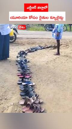 ఎన్టీఆర్ జిల్లాలో  యూరియా కోసం రైతుల క్యూలైన్లు