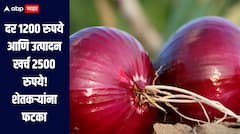 दर 1200 रुपये आणि उत्पादन खर्च 2500 रुपये! कांदा उत्पादक शेतकरी संघटना आक्रमक, राज्यभर करणार फोन आंदोलन