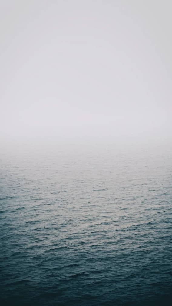 यूपी के कितने जिले गंगा की गोद में बसते हैं?