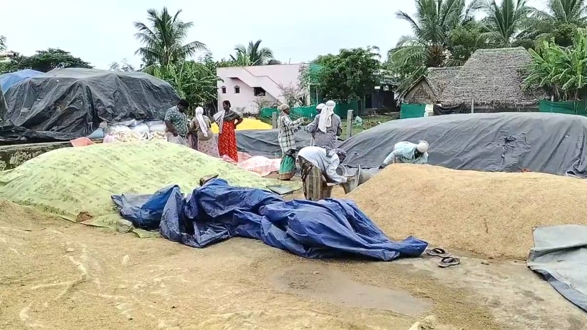 சீர்காழி விவசாயிகள் கண்ணீர்: மழை பாதிப்பால் நெல் மூட்டைகள் சேதம்! அரசு நடவடிக்கை எடுக்குமா?