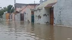 Banaskantha Rain:ભારે વરસાદથી સુઈગામ જળબંબાકાર, થરાદની સોસાયટીમાં કેડ સમા પાણી ભરાયા