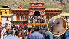 बद्रीनाथ धाम यहां कुत्ते क्यों नहीं भौंकते? रहस्यमय मंदिर और अद्भुत प्राकृतिक नियम!