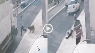 VVideo: कुत्ते से बचकर भागा तो बुरी तरह ट्रक से टकराया, हादसे का दर्दनाक वीडियो वायरल