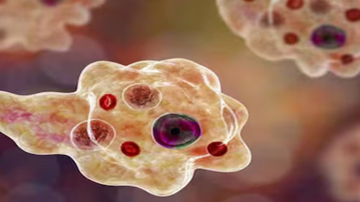 மூளையைத் தின்னும் அமீபா: மேலும் ஒரு உயிரிழப்பு! அதிர்ச்சியில் கேரள மக்கள்