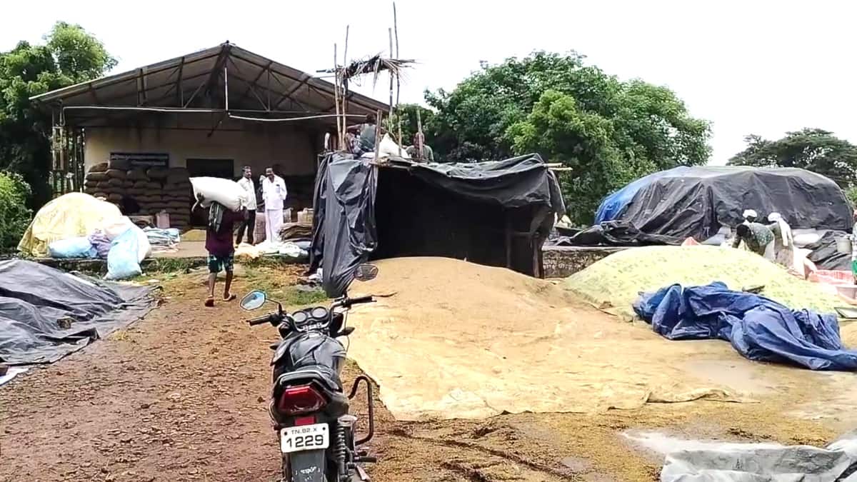 சீர்காழி விவசாயிகள் கண்ணீர்: மழை பாதிப்பால் நெல் மூட்டைகள் சேதம்! அரசு நடவடிக்கை எடுக்குமா?