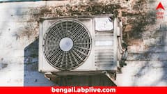 এসি ফেটে ভয়ঙ্কর বিস্ফোরণ ! পোষ্য কুকুর, কন্যাকে নিয়েই দমবন্ধ হয়ে মৃত্যু দম্পতির; জানালা দিয়ে লাফিয়ে বাঁচল ছেলে