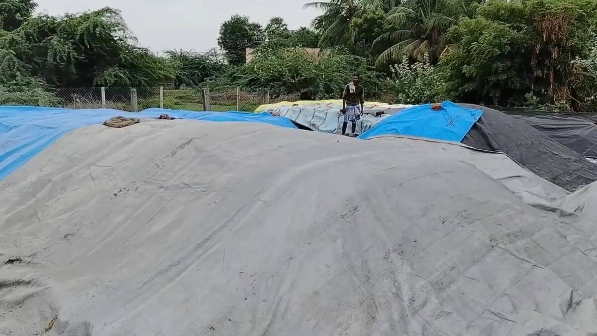 சீர்காழி விவசாயிகள் கண்ணீர்: மழை பாதிப்பால் நெல் மூட்டைகள் சேதம்! அரசு நடவடிக்கை எடுக்குமா?