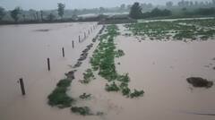 Gujarat Rain: 2 વાગ્યા સુધીમાં 63 તાલુકામાં વરસાદ, લખપતમાં સૌથી વધુ 5 ઈંચ ખાબક્યો