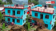 पलकें झपकी नहीं और जमीन में धंस गई पूरी बिल्डिंग, वीडियो देख कांप जाएगी रूह