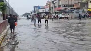 Gujarat Rain: રાજ્યના આ ચાર જિલ્લામાં ભારે વરસાદની આગાહી, શાળા-કોલેજોમાં જાહેર કરાઈ રજા