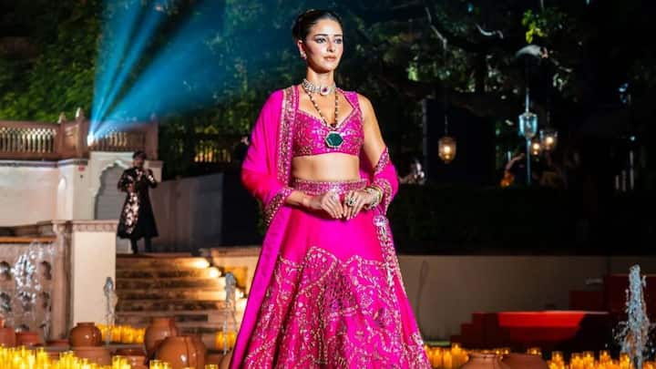 Day 8 – Pink: Ananya stuns in this hot pink lehenga with Rajasthani-inspired detailing. Accessorised with an emerald necklace and delicate jewels, the look is equal parts bold and graceful. (Image Source: Instagram/ ekcetra.productions)
