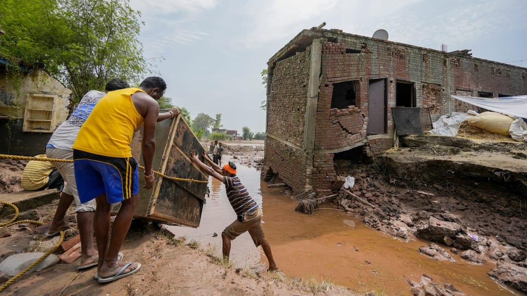 Punjab Flood Death Toll Rises To 51 Crop Damage Exceeds 184 Lakh Hectares Rs 20000 per acre compensation Punjab Flood Death Toll Rises To 51, Crop Damage Exceeds 1.84 Lakh Hectares As Govt Announces Relief For Farmers