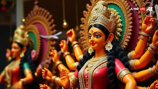 Navratri Vrat Rules: पहली बार रख रहे शारदीय नवरात्रि के 9 दिनों का व्रत, तो जान लें नियम