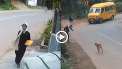 Video: लड़की को काटने भागे 6 कुत्ते, फरिश्ता बनकर आई स्कूल बस, ड्राइवर ने बचा ली जान!