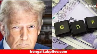 Donald Trump : ট্রাম্পের অতিরিক্ত শুল্কে কতটা ক্ষতি হবে ভারতের ? মোদি নিয়েছেন মাস্টার প্ল্যান