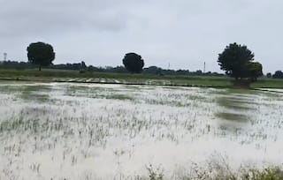Gujarat Rain Live Update : બંગાળની ખાડીમાં સિસ્ટમ એક્ટિવ,કચ્છ, બનાસકાંઠામાં ધોધમાર વરસાદ
