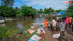 पंजाब में बाढ़ में मरने वालों की संख्या 48 पहुंची, लाखों हेक्टेयर फसलें तबाह, जानें कब से खुलेंगे स्कूल-कॉलेज