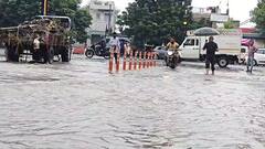 Kutch Rain: કચ્છના ગાંધીધામમાં ભારે પવનના સુસવાટા સાથે ધોધમાર વરસાદ, અનેક વિસ્તારોમાં ભરાયા પાણી