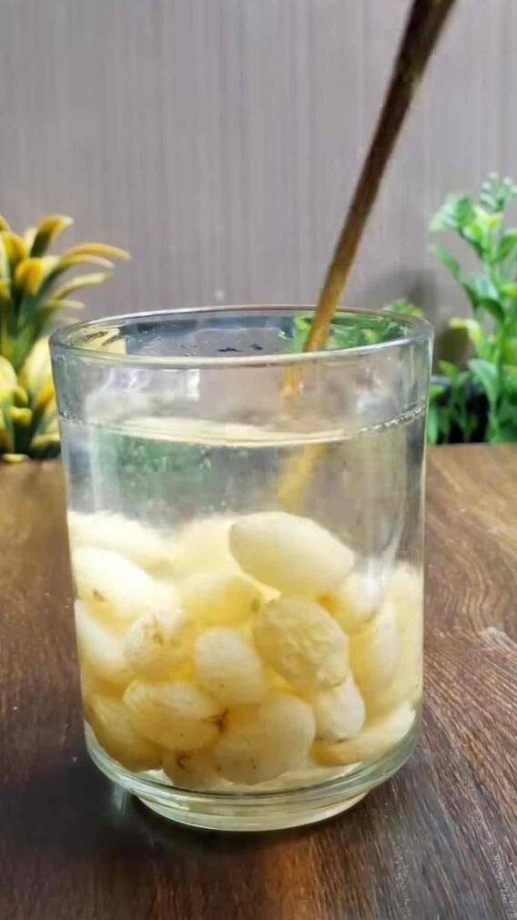 मनुक्याचं पाणी पिण्याचे आरोग्यदायी फायदे काय?