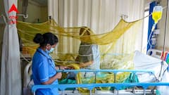 পুজোর আগেই রাজ্যে চোখ রাঙাচ্ছে ডেঙ্গি, নতুন করে আক্রান্ত ২ হাজারেরও বেশি